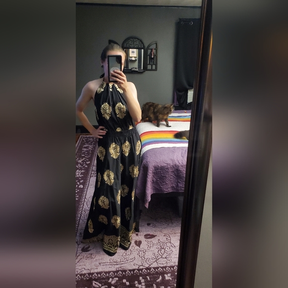 Meet your Posher, Harley - Picture 12 of 16